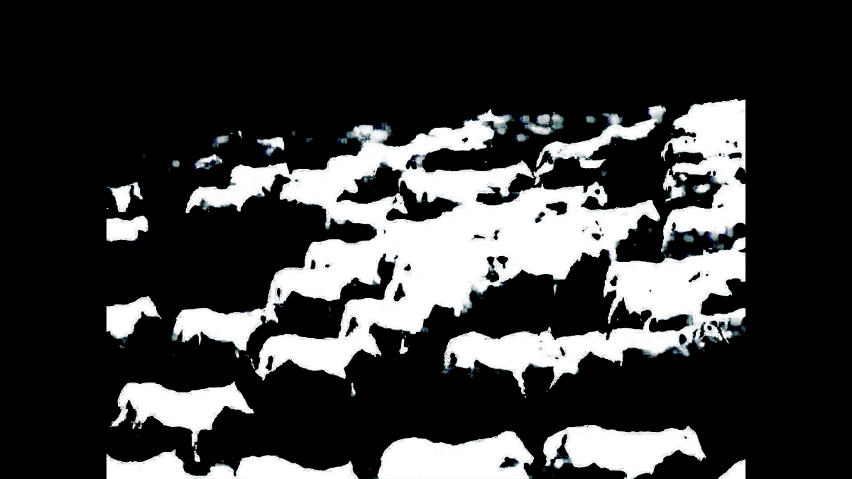 HEY WHAT, the enthralling new album from LOW, out today worldwide on