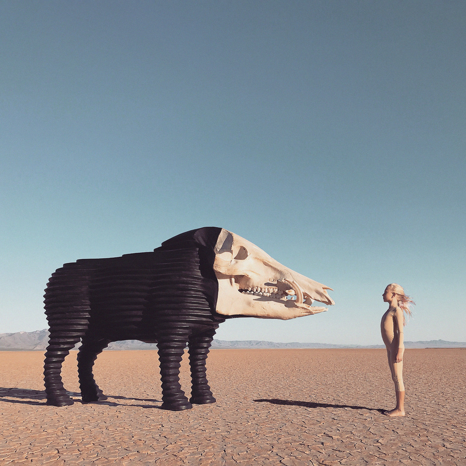  Man/ Man LIVE TOUR 2022 Labo.〈… Amazon.co.jp: Snow Man LIVE TOUR 2022 Labo.(初回盤)(Blu-ray3枚組